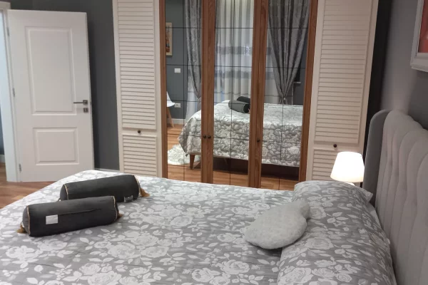 Shtepi me qera Apartament ne Tirane, 1+1, Mobilimi E mobiluar, Pagesa 650  Euro.