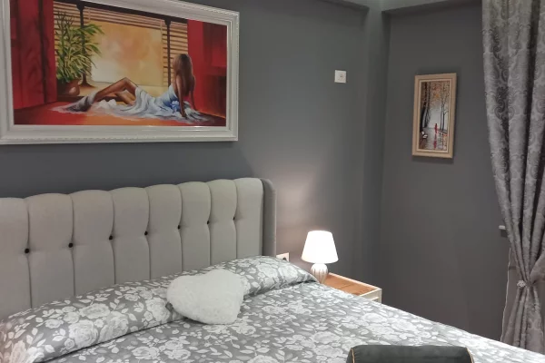 Shtepi me qera Apartament ne Tirane, 1+1, Mobilimi E mobiluar, Pagesa 650  Euro.