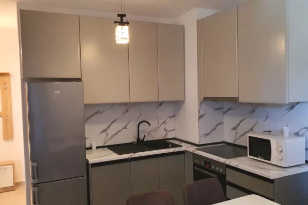 Shtepi me qera Apartament ne Tirane, 1+1, Mobilimi E mobiluar, Pagesa 500  Euro.
