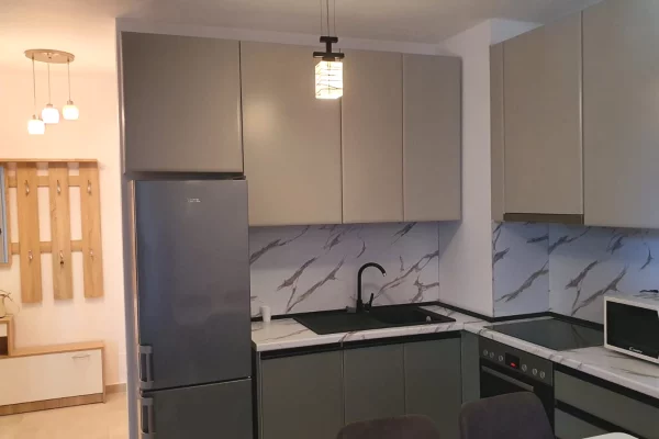 Shtepi me qera Apartament ne Tirane, 1+1, Mobilimi E mobiluar, Pagesa 500  Euro.