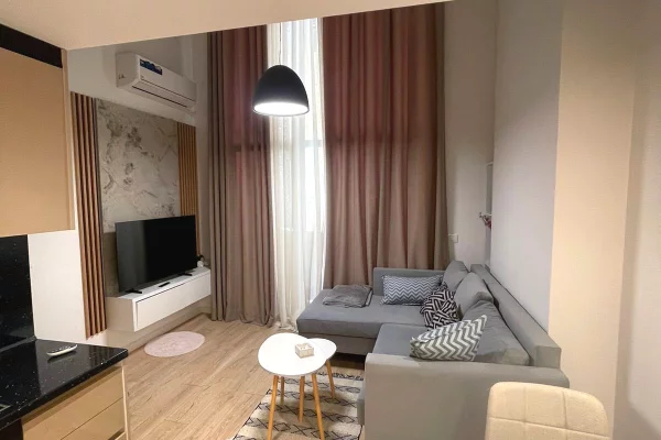 Shtepi me qera Apartament ne Tirane, 1+1, Mobilimi E mobiluar, Pagesa 500  Euro.