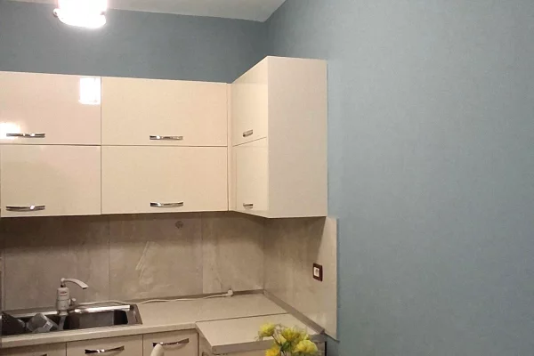 Shtepi me qera Apartament ne Tirane, 1+1, Mobilimi E mobiluar, Pagesa 45,000  Leke.