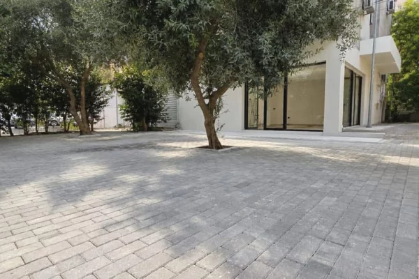 Ambient biznesi 50 m2 me oborr ne shitje – Thanas Ziko