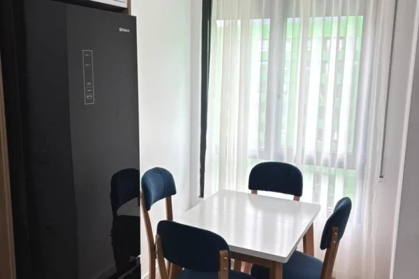 Apartment for rent in Tirana 1+1, Furnished
