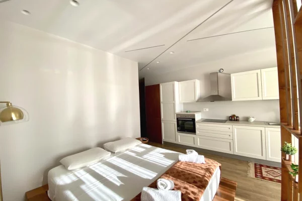 Shtepi me qera Apartament ne Tirane, Garsoniere, Mobilimi E mobiluar, Pagesa 450  Euro.