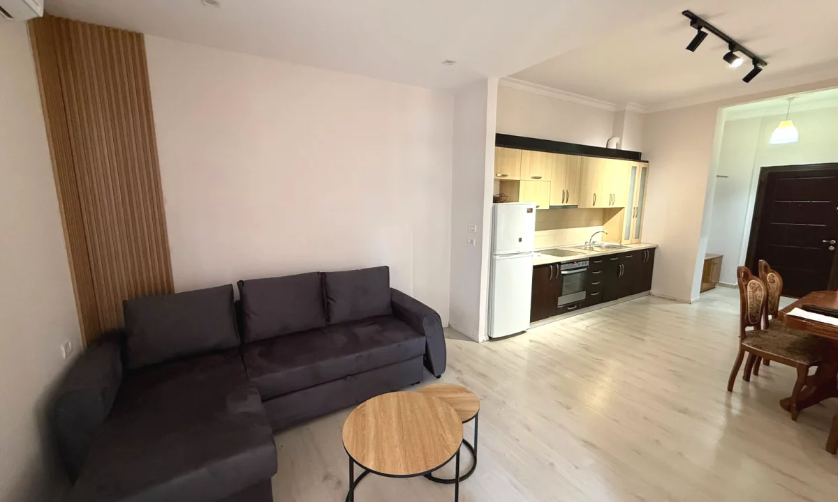 Shtepi me qera Apartament ne Tirane, 1+1, Mobilimi E mobiluar, Pagesa 45,000  Leke.