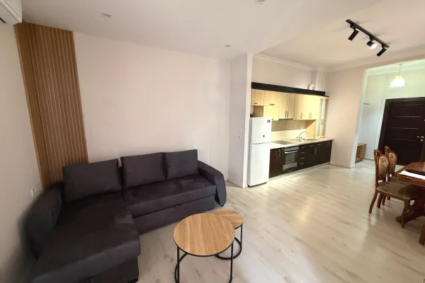 Shtepi me qera 1+1 ne Tirane - 45,000 Leke