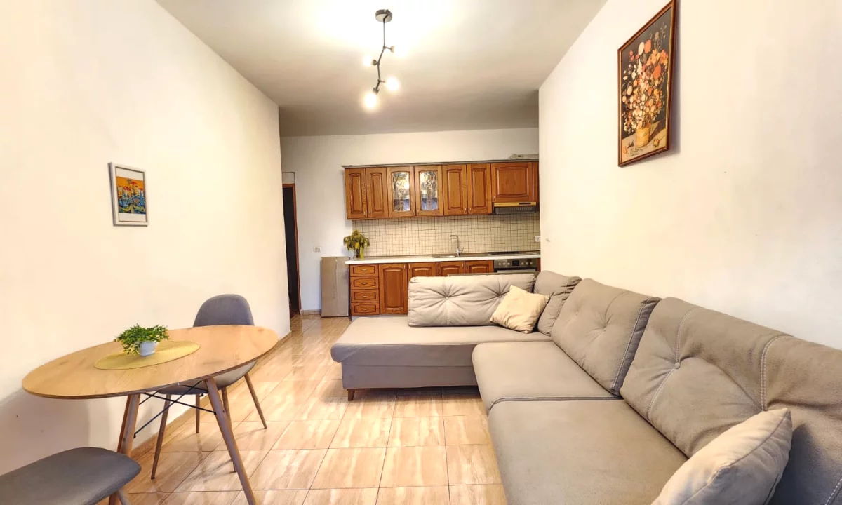 Shtepi me qera Apartament ne Tirane, 1+1, Mobilimi E mobiluar, Pagesa 420  Euro.