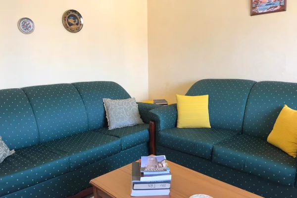 Apartament 1+1 me qira te Ali Demi.