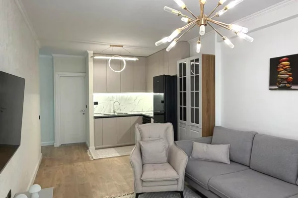 Shtepi ne shitje Apartament ne Tirane, 1+1, Mobilimi E mobiluar, Pagesa 11,800,000  Leke.