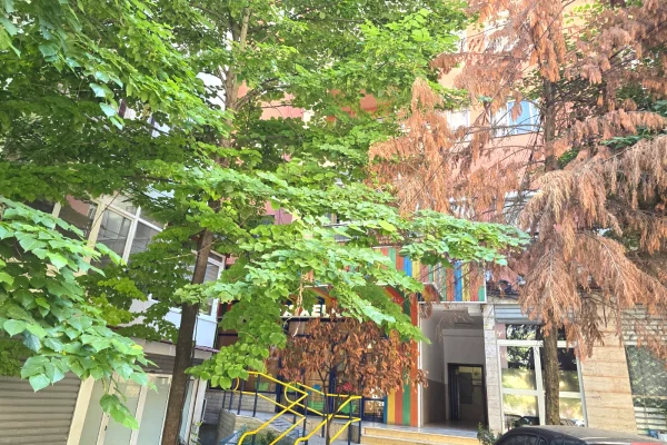 Shtepi ne shitje Apartament ne Tirane, 2+1, Mobilimi Bosh, pa mobiluar, Pagesa 230,000  Euro.