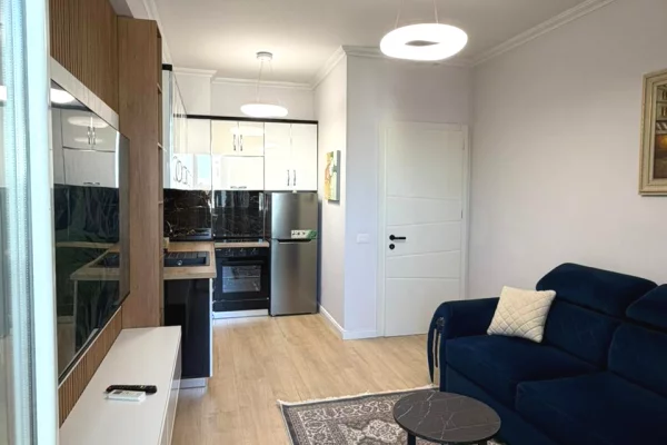 Shtepi ne shitje Apartament ne Tirane, 1+1, Mobilimi E mobiluar, Pagesa 12,700,000  Leke.
