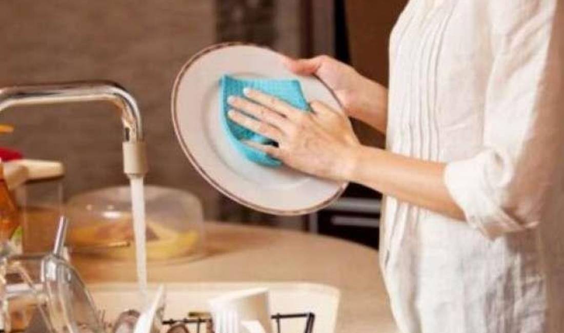 Offerte di lavoro a Tirana, Profession  Pjatalarese  , , Pagamento Trattabile.