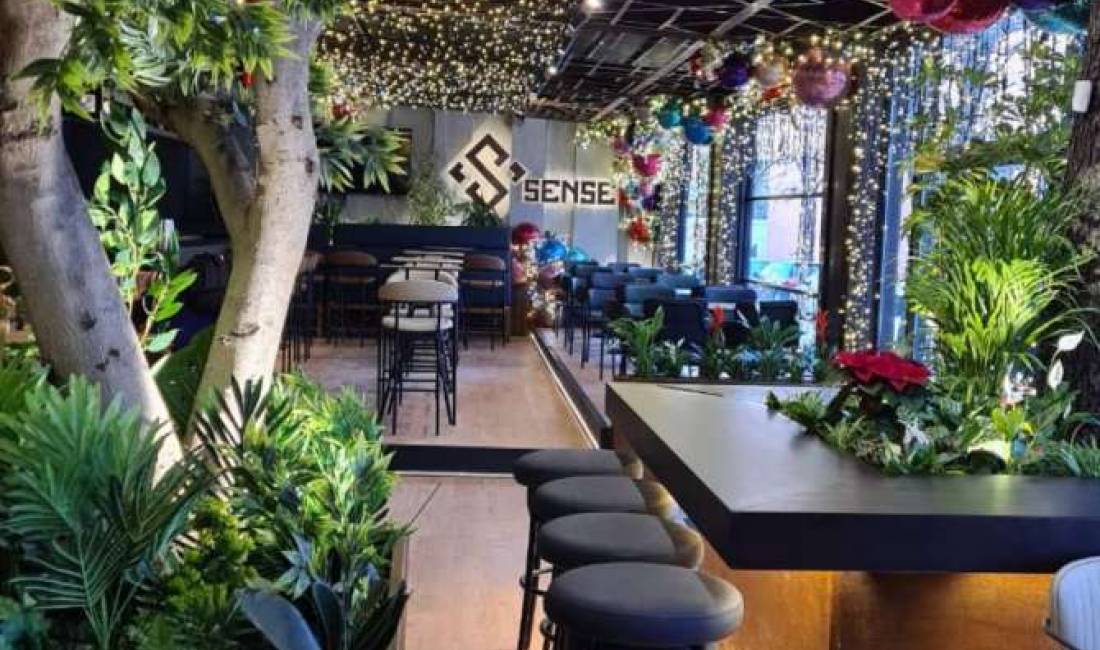 Offerte di lavoro a Tirana, Profession Sanitare , Nessuna esperienza, Pagamento Trattabile.