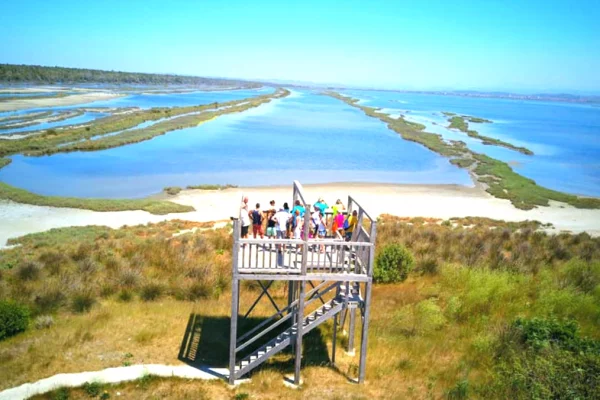 Shitet Lokal në Divjakë – Investim Gati për Përdorim