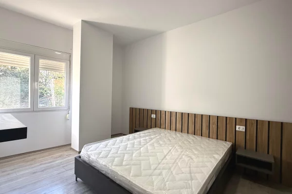 Shtepi me qera Apartament ne Tirane, 1+1, Mobilimi E mobiluar, Pagesa 650  Euro.