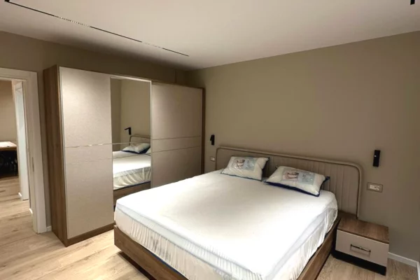 Shtepi me qera Apartament ne Tirane, 2+1, Mobilimi E mobiluar, Pagesa 648  Euro.