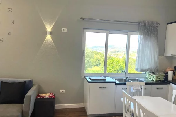 Shtepi me qera Apartament ne Tirane, 4+1, Mobilimi E mobiluar, Pagesa 1,200  Euro.