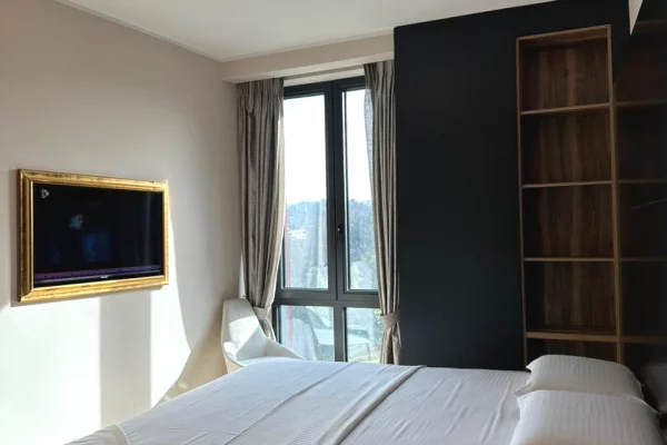 Appartamento in vendita a Tirana 1+1, Arredato