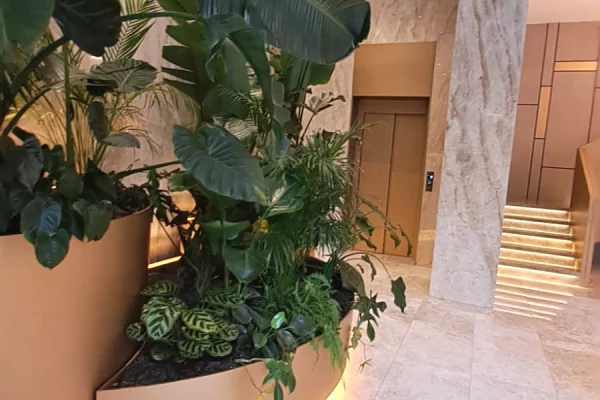 🏢 Ambient Zyre Premium me Qira – Ish Blloku