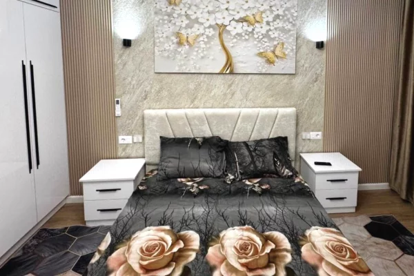 Shtepi me qera Apartament ne Tirane, 1+1, Mobilimi E mobiluar, Pagesa 500  Euro.