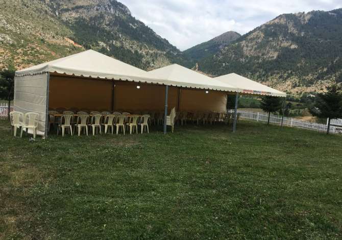 Holiday arrangements in Tirana - 0 