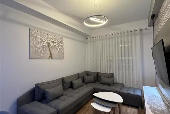 Shtepi me qera Apartament ne Tirane, 2+1, Mobilimi E mobiluar, Pagesa 500  Euro.