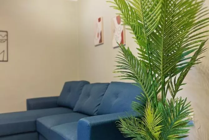 Apartment for rent in Tirana 1+1, Furnished