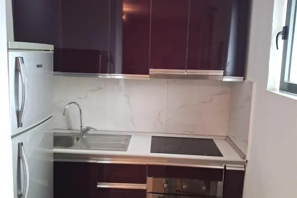 Shtepi me qera Apartament ne Tirane, 1+1, Mobilimi E mobiluar, Pagesa 42,000  Leke.