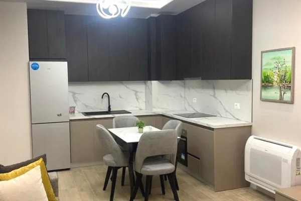 Shtepi me qera Apartament ne Tirane, 1+1, Mobilimi E mobiluar, Pagesa 85,000  Leke.