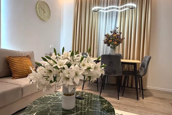 Shtepi me qera Apartament ne Tirane, 1+1, Mobilimi E mobiluar, Pagesa 600  Euro.