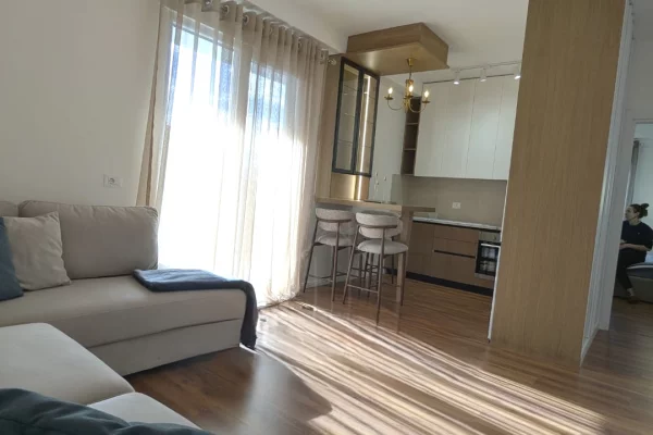 House for Rent 1+1 in Tirana - 60,000 Leke