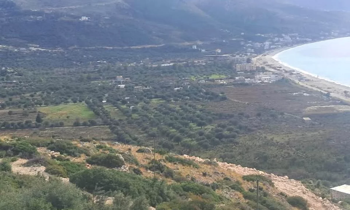 🏝️✨ SHITET TOKE 1000 m2 NE BORSH, HIMARE – SUPER MUNDESI INVESTIMI! 🌟