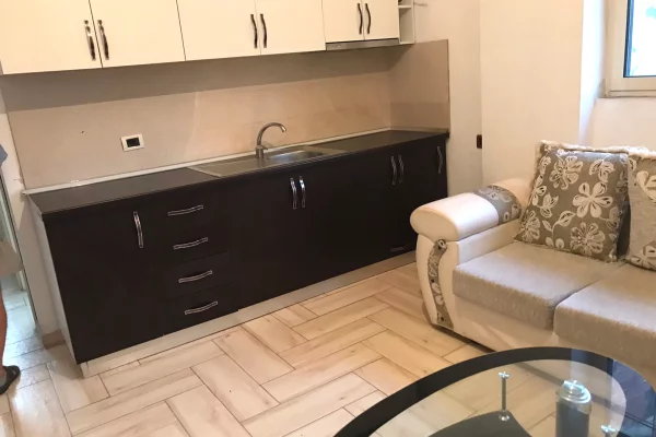 Shtepi me qera Apartament ne Tirane, 1+1, Mobilimi E mobiluar, Pagesa 30,000  Leke.