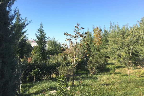 Land for Sale in Tirana - 69,000 Euro
