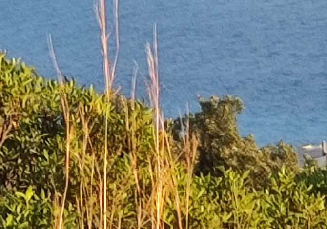 SHITET TOKE NE DRIMADHES