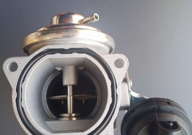 Valvul EGR per Volkswagen Caddy, Seat Altea, Seat Toledo, Skoda Octavia. Bejme dergesa ne te gjithe 