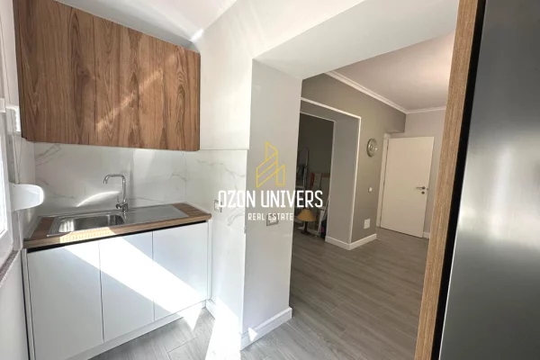 Apartment for rent in Tirana 1+1, Furnished