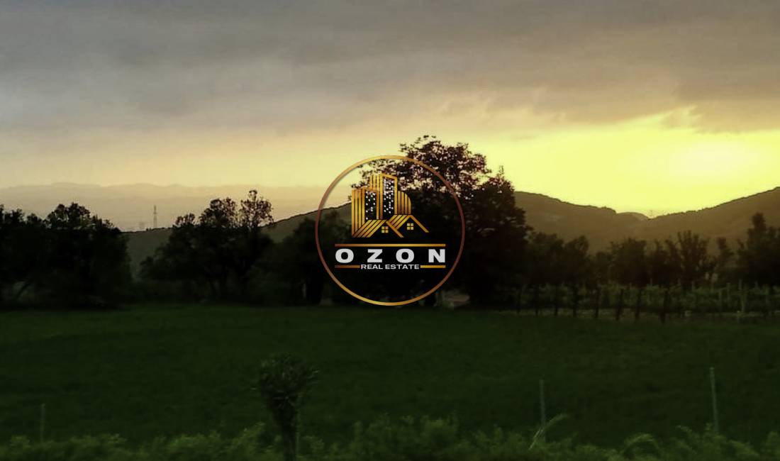 SHITET TOKE NE PRISKE E MADHE, TIRANE!