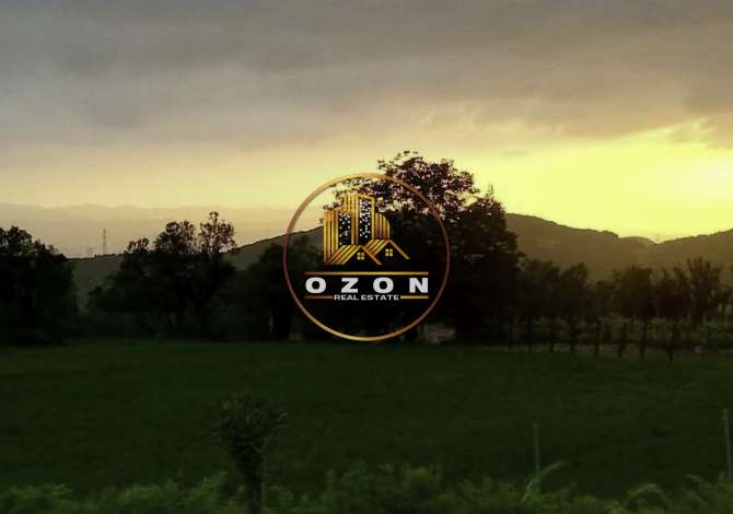 SHITET TOKE NE PRISKE E MADHE, TIRANE!