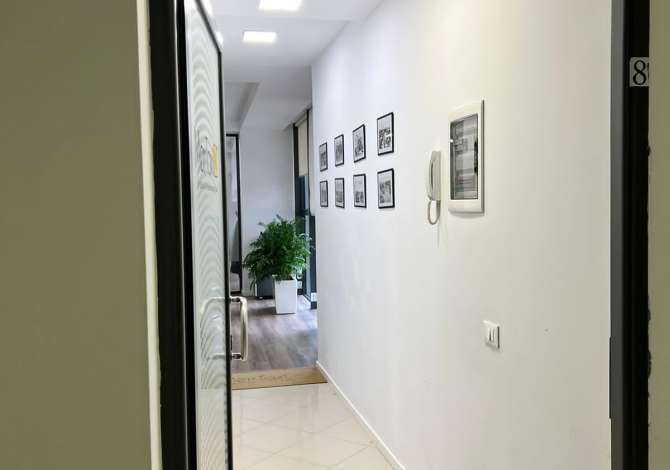 AMBIENT PER ZYRA ME QIRA TEK NOBIS !! 