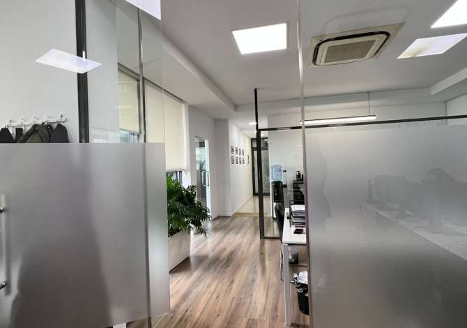 AMBIENT PER ZYRA ME QIRA TEK NOBIS !! 