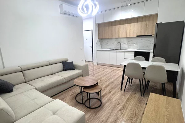 House for Rent 1+1 in Tirana - 55,000 Leke