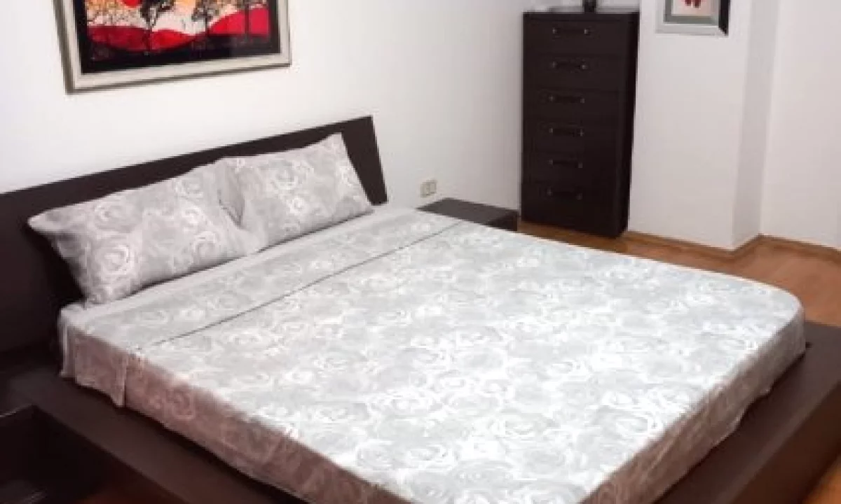 Appartamento in affitto a Tirana 1+1, Arredato