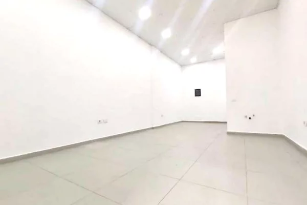 Ambient biznesi me qera 3+1 ne Tirane - 1,500 Euro