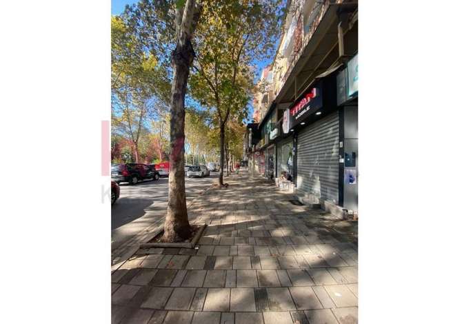 Ambient biznesi me qera 1+1 ne Tirane - 800 Euro