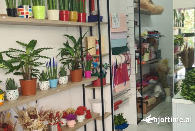 Ambient biznesi ne shitje 1+1 ne Tirane - 10,000 Euro