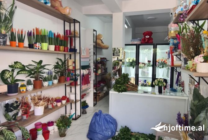 Ambient biznesi ne shitje 1+1 ne Tirane - 10,000 Euro