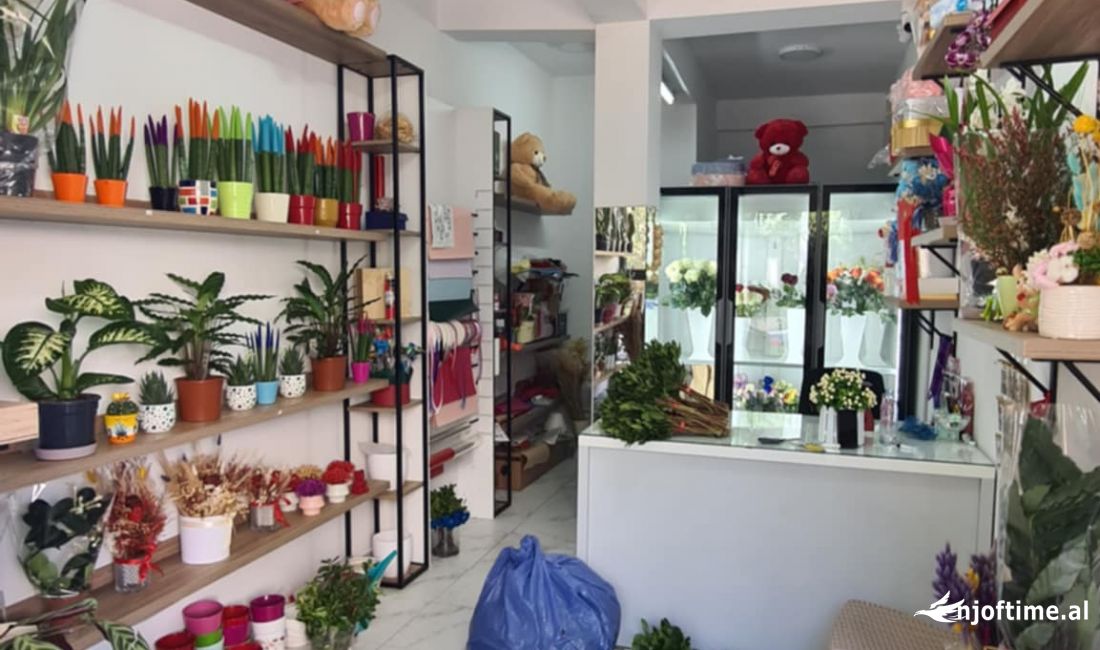 Biznes lulesh per Shitje ne 21 Dhjetori - 10,000Euro