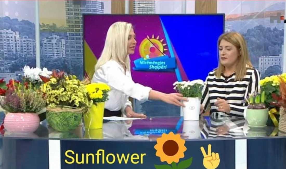 SUN FLOWER ju ofron Buqeta, Kurora, Kompozime, Pergatitje eventesh, Projektim Lulishte etj.